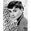 Audrey Hepburn Photo